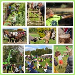 Surrey Hills Wood Fair 2022