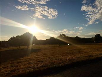 PROPOSED EXTENSION OF THE SURREY HILLS AREA OF OUTSTANDING NATURAL BEAUTY